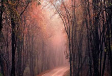 赫尔塔冲击德甲前列，绯闻不断