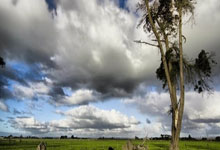 阿森纳爆冷不敌对手，连续颓势难振